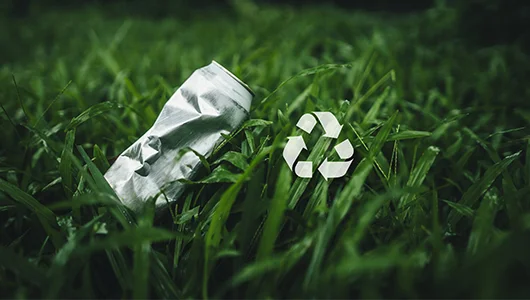 Saneamento ambiental