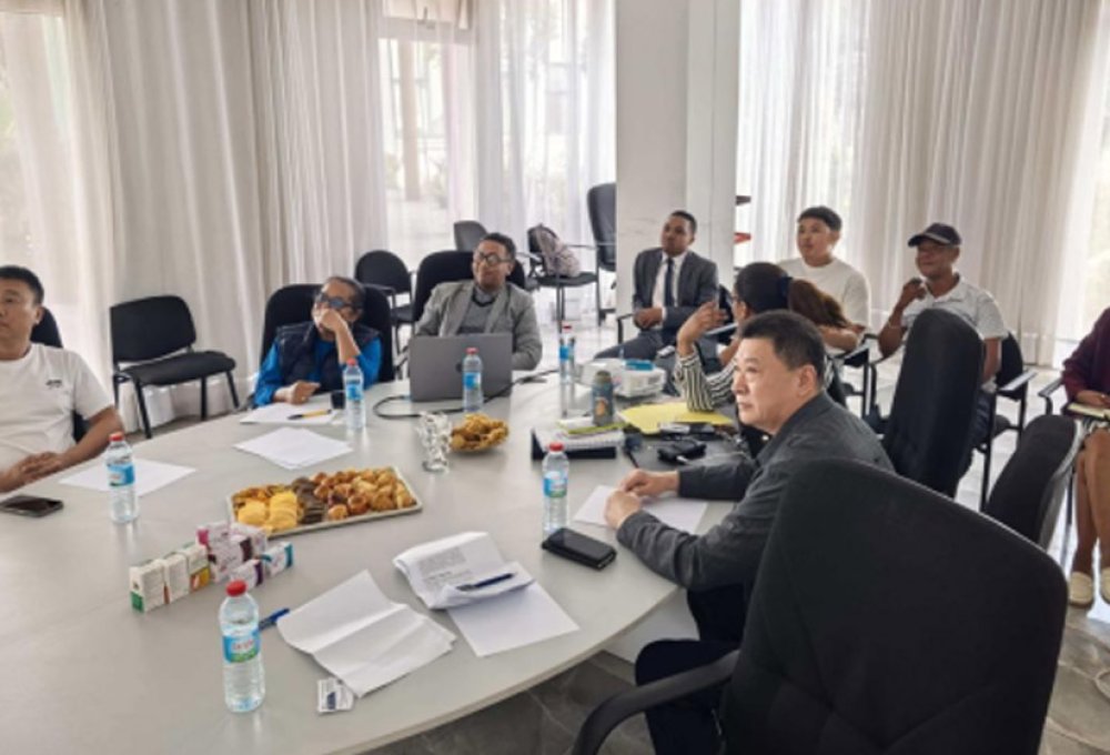 Aprofundando-se no Mercado Africano e Fortalecendo a Cooperação Transfronteiriça | Li Guomei, Presidente da Câmara de Comércio Chinesa da Tanzânia, Realiza uma Reunião Especial para a Aquisição de Equipamentos em Madagáscar